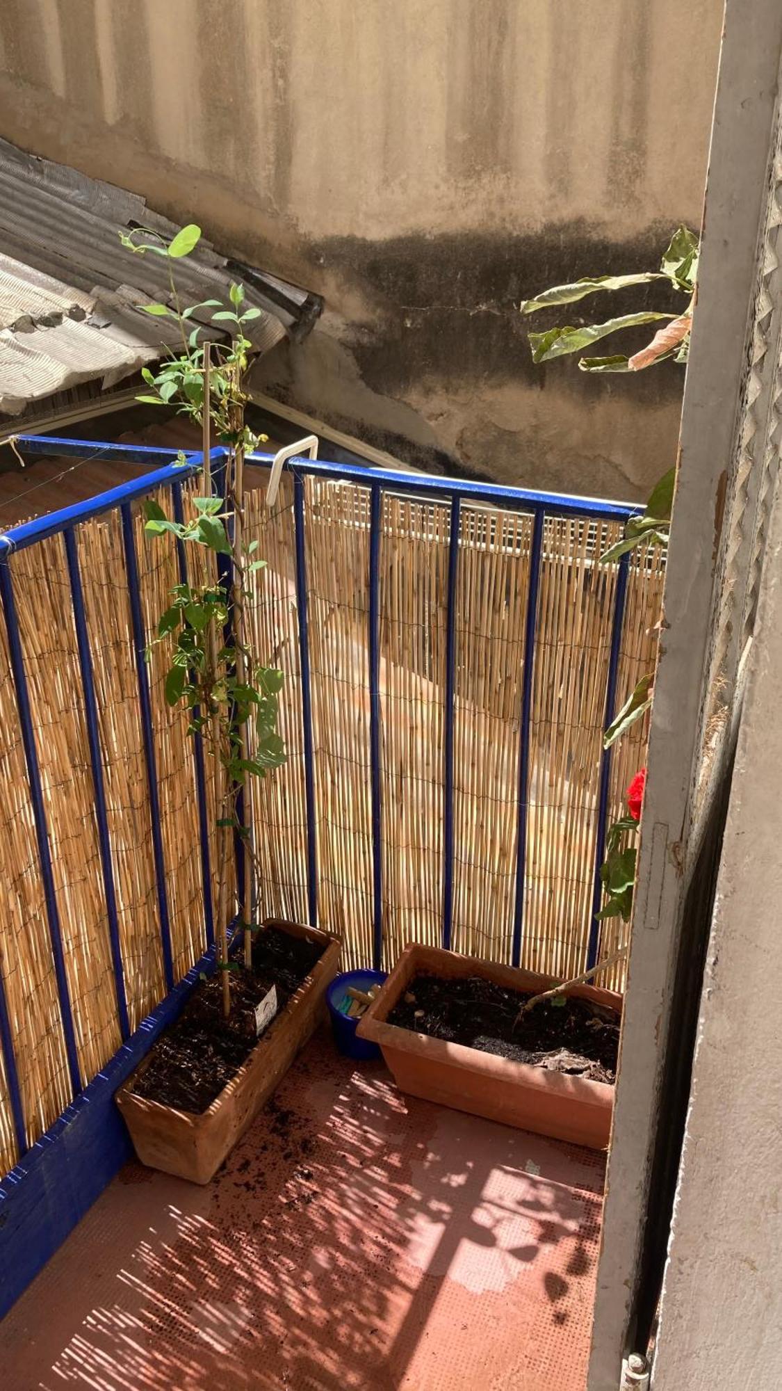 Pied A Terre Mediterraneen ! Μασσαλία Εξωτερικό φωτογραφία